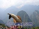 Machu-Picchu-009